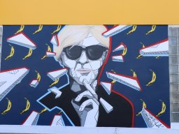 Focus Murals
